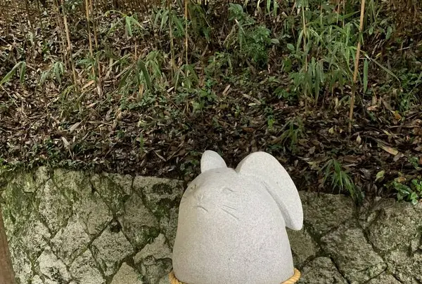 白兎神社の写真・動画_image_229558