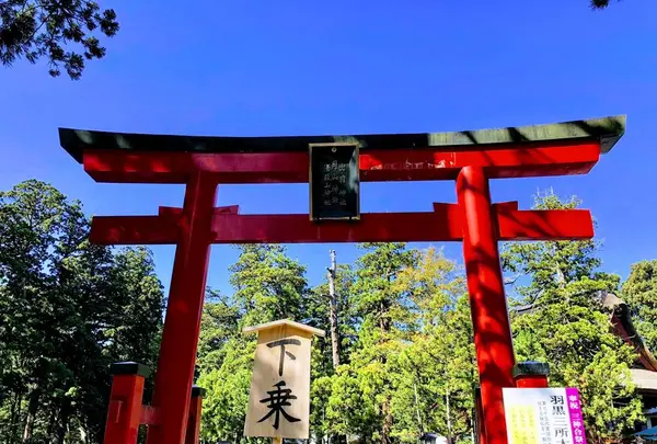 羽黒山の写真・動画_image_229928