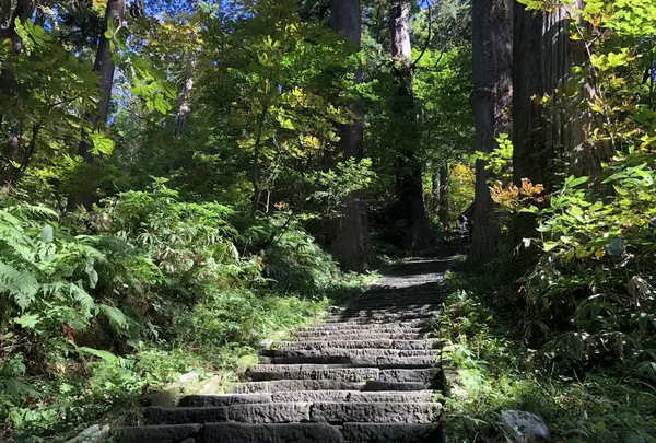 羽黒山の写真・動画_image_229930