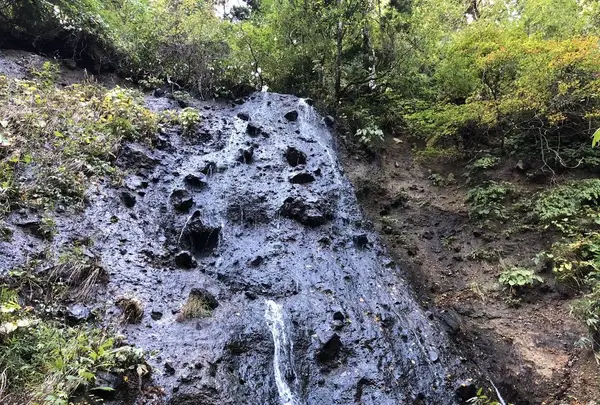 須賀の滝の写真・動画_image_229943