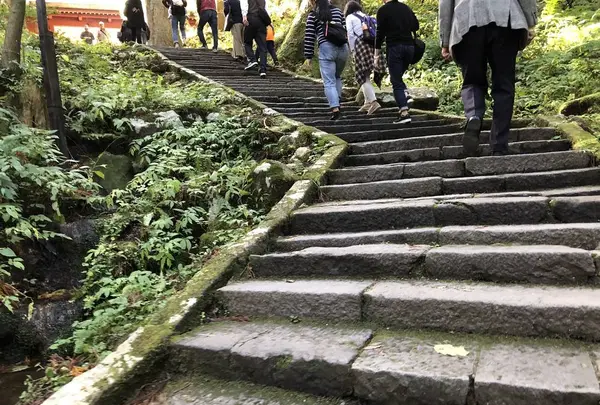 羽黒山五重塔の写真・動画_image_229945