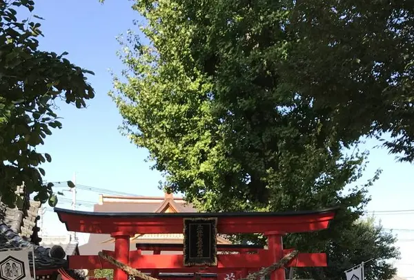 於菊稲荷神社の写真・動画_image_230015