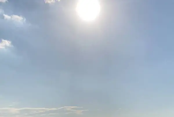 神奈川県立近代美術館 葉山の写真・動画_image_230168