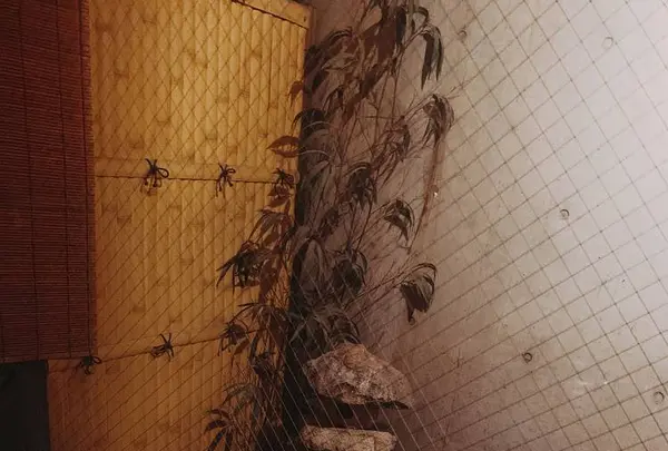 DEN 表参道の写真・動画_image_230217