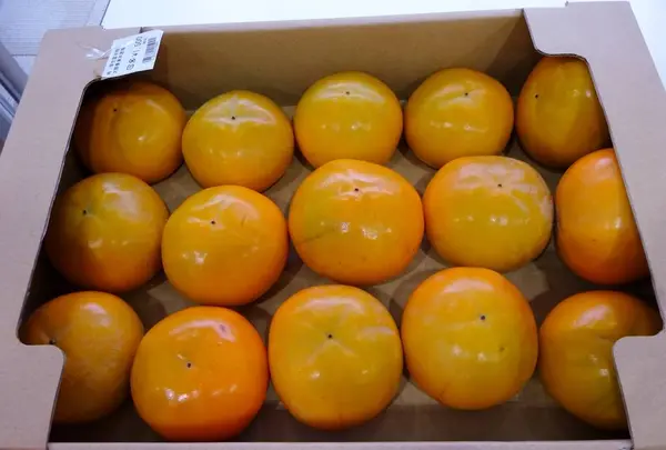 道の駅 パレットピアおおのの写真・動画_image_230626