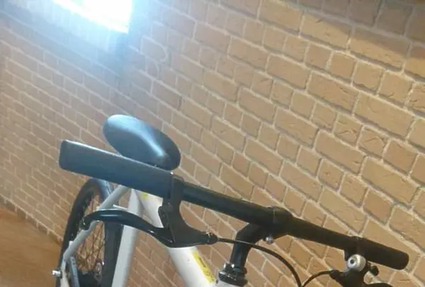 オランダ風車リーフデの写真・動画_image_231158