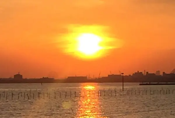 ふなばし三番瀬海浜公園の写真・動画_image_231159