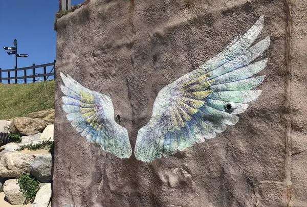 糸島市の写真・動画_image_231174