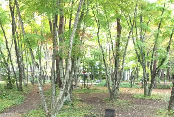 軽井沢高原教会の写真・動画_image_231507