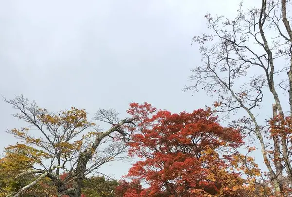 碓氷峠見晴台の写真・動画_image_231857