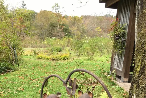 軽井沢タリアセンの写真・動画_image_231929