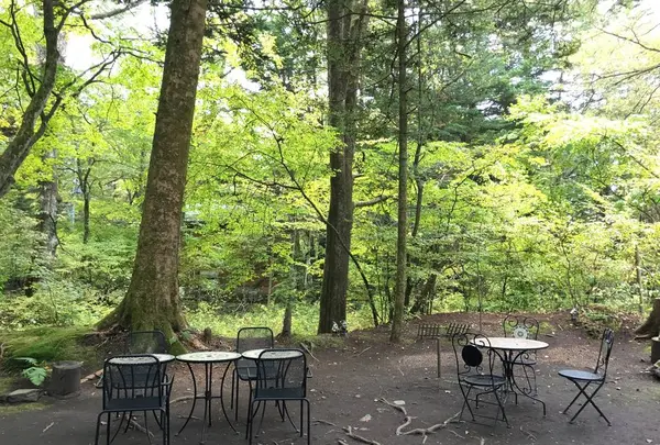 涼の音の写真・動画_image_231942