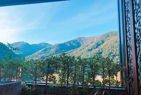 箱根藍瑠の写真・動画_image_232771