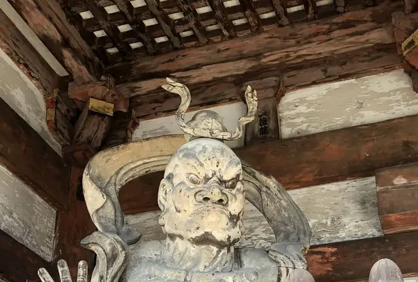 仁和寺の写真・動画_image_232890
