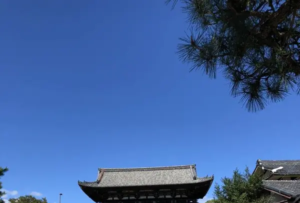 仁和寺の写真・動画_image_232891