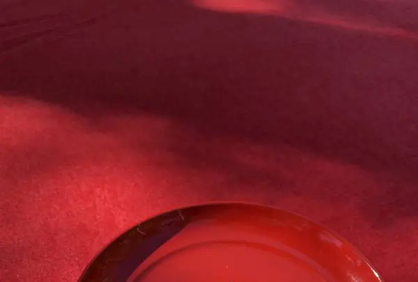 金閣寺（鹿苑寺）の写真・動画_image_232892