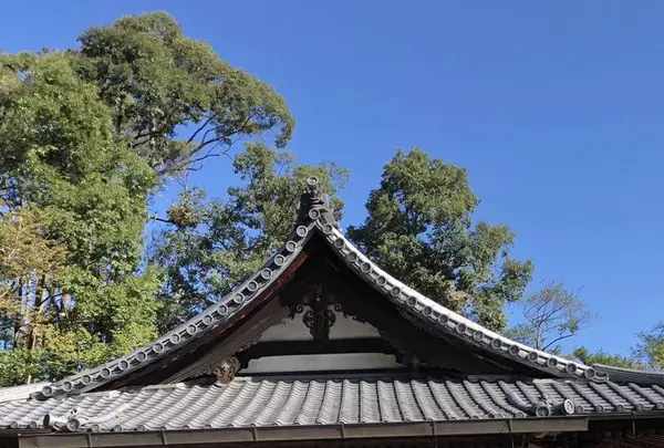 金閣寺（鹿苑寺）の写真・動画_image_232896