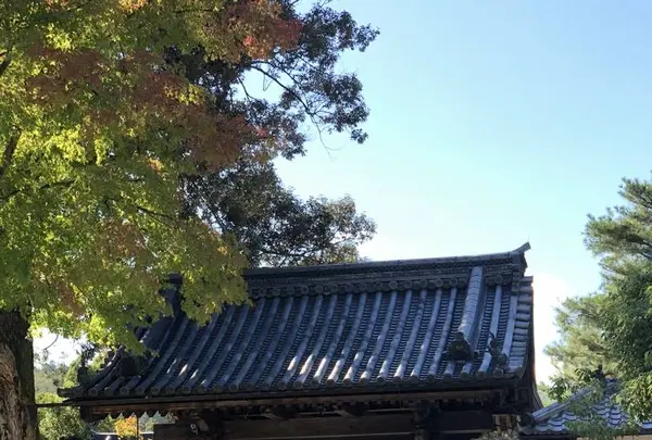 金閣寺（鹿苑寺）の写真・動画_image_232898
