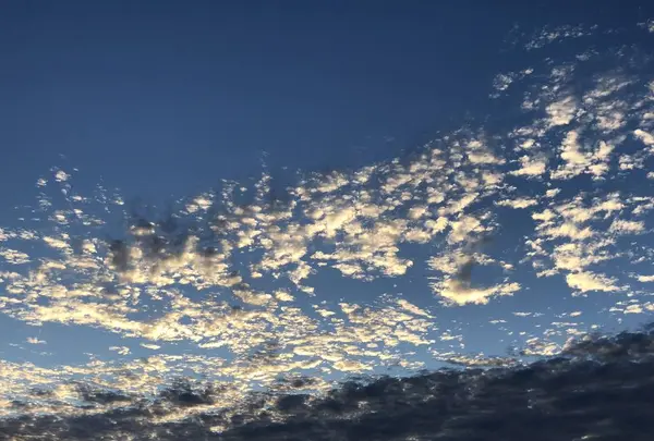 琵琶湖の写真・動画_image_232900