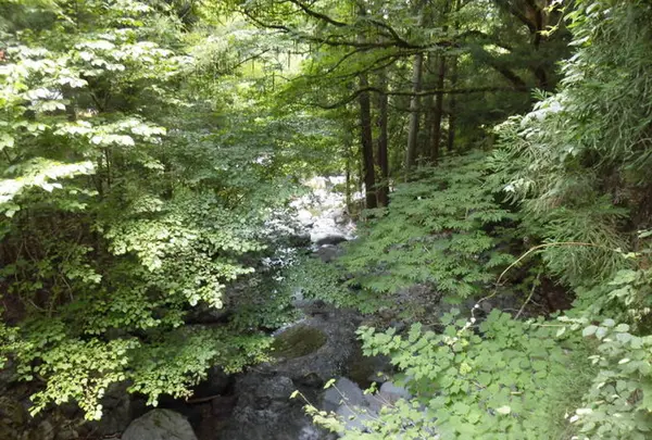 音水渓谷の写真・動画_image_233600