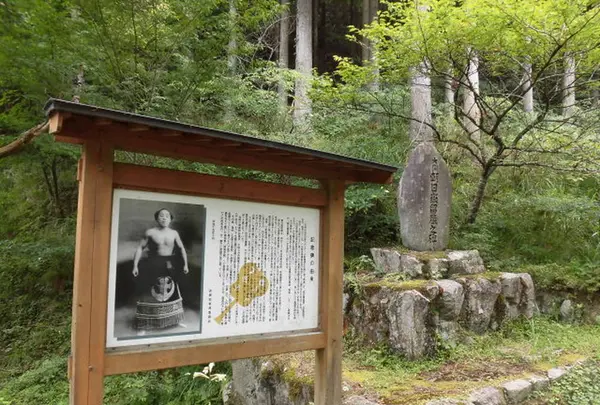 波賀不動滝公園　「楓香荘」　の写真・動画_image_233601
