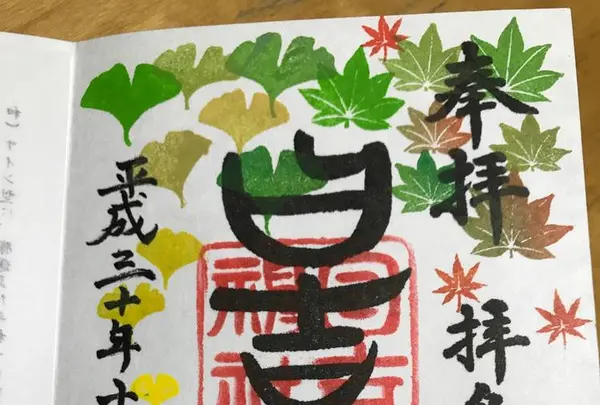 日吉神社の写真・動画_image_233678