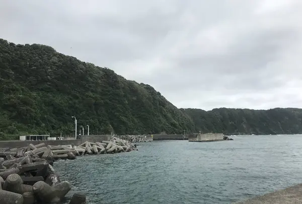 伊豆大島の写真・動画_image_233697