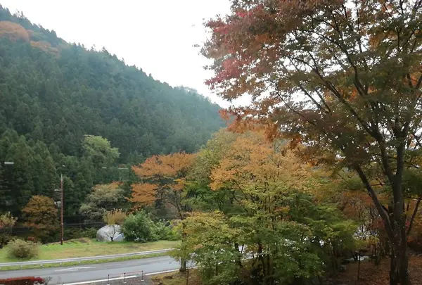 健康村の写真・動画_image_233839