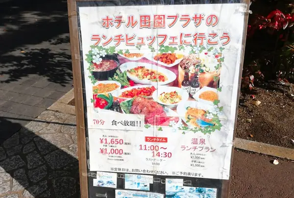 ホテル田園プラザの写真・動画_image_233845