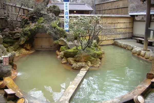 露天風呂の写真・動画_image_233855