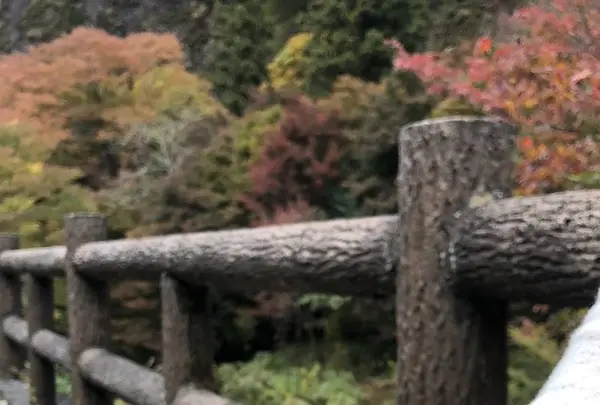 国民宿舎 古岩屋荘の写真・動画_image_234520