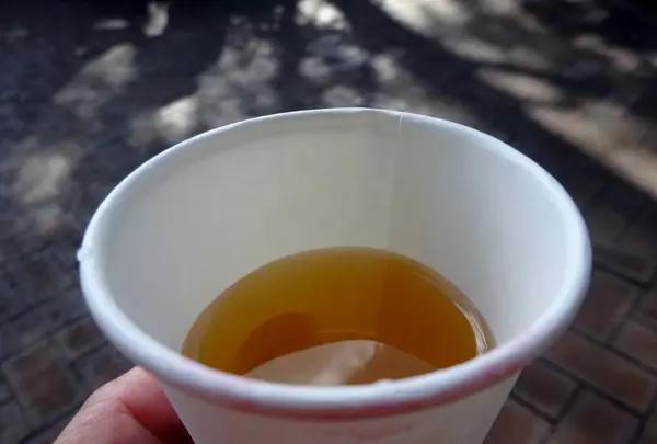 神戸布引ハーブ園の写真・動画_image_234780