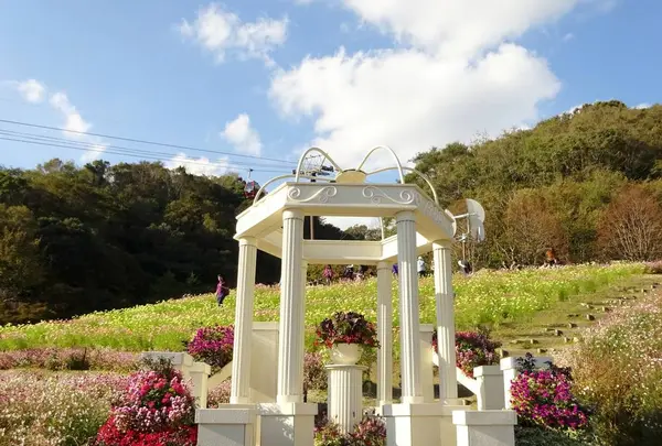 神戸布引ハーブ園の写真・動画_image_234783