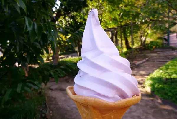 神戸布引ハーブ園の写真・動画_image_234784