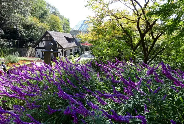 神戸布引ハーブ園の写真・動画_image_234821