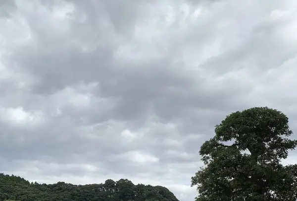 足立美術館の写真・動画_image_234854