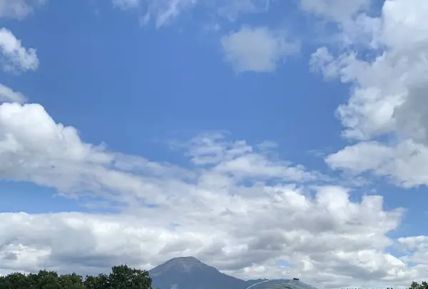 鳥取県立フラワーパークとっとり花回廊の写真・動画_image_234863