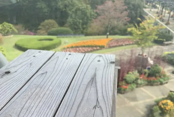 鳥取県立フラワーパークとっとり花回廊の写真・動画_image_234864