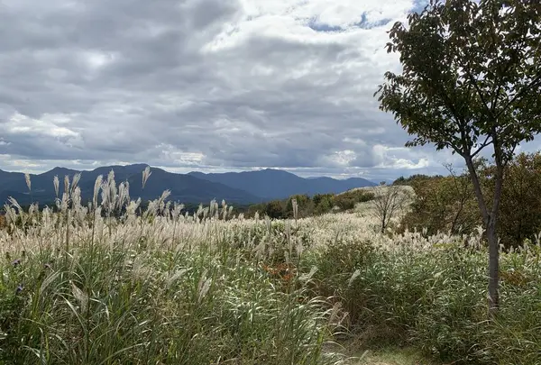 鬼女台展望休憩所の写真・動画_image_234873