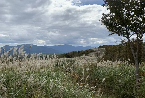 鬼女台展望休憩所の写真・動画_image_234874