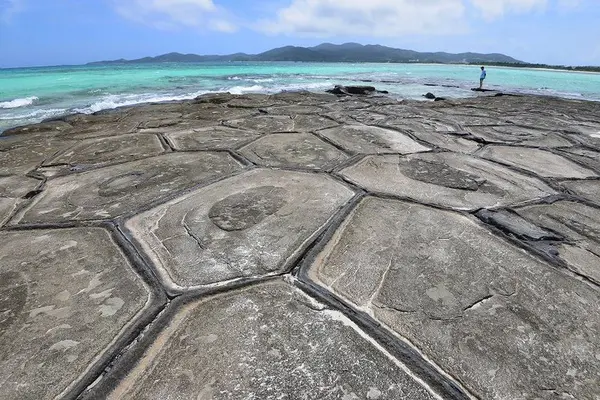 アーラ浜の写真・動画_image_234979