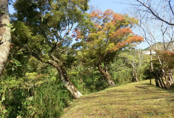 麓公園の写真・動画_image_234996