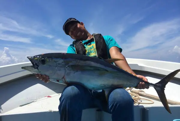 真泊ターミナルの写真・動画_image_235640