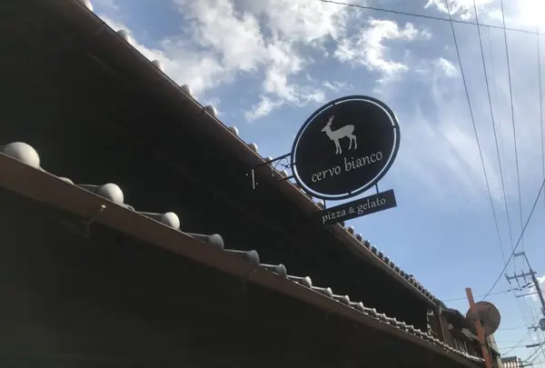 cervo biancoの写真・動画_image_235644