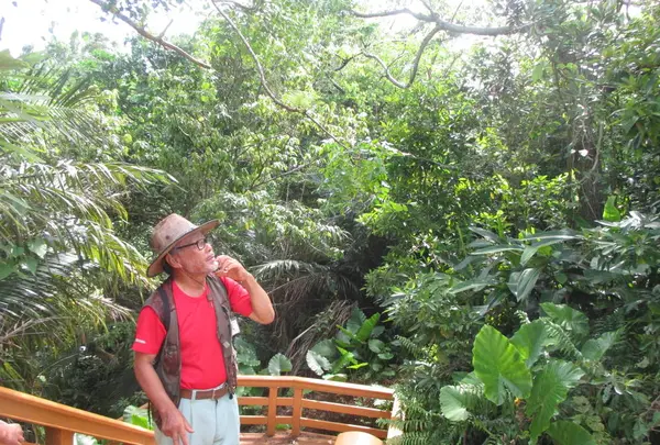 ヤジャーガマの写真・動画_image_235652