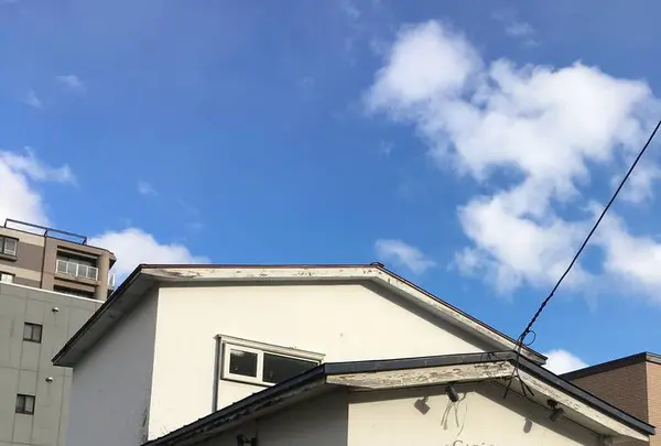 カフェブランの写真・動画_image_235655