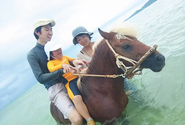 久米島馬牧場の写真・動画_image_235663