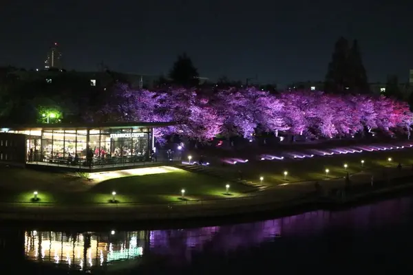 スターバックスコーヒー 富山環水公園店（STARBUCKS COFFEE）の写真・動画_image_235667