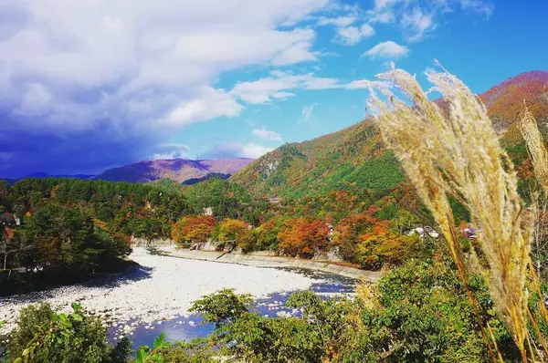 白川郷の写真・動画_image_235722