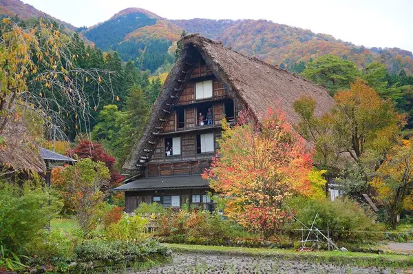 白川郷の写真・動画_image_235723